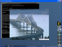 System Monitor/Physical Security: GKrellM and GKrellKam