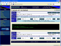 NST WUI: File Viewer