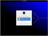 NST Login Screen (GNOME 3 Fallback Mode GDM)